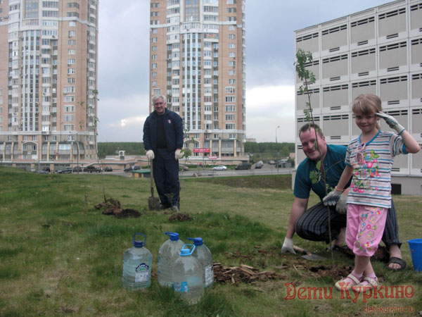 Посадка деревьев в Куркино